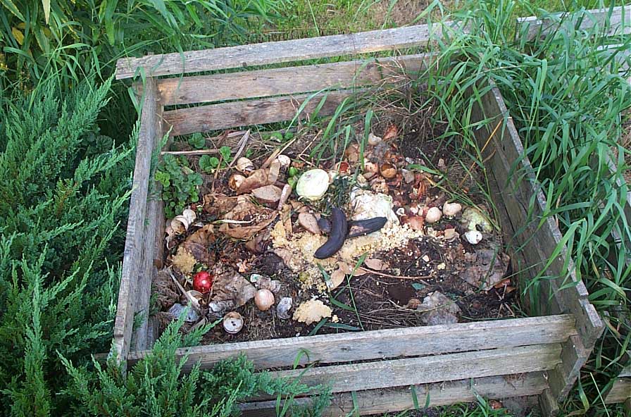 Τι είναι και πώς γίνεται το κομπόστ Compost