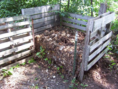 compostbinopen2