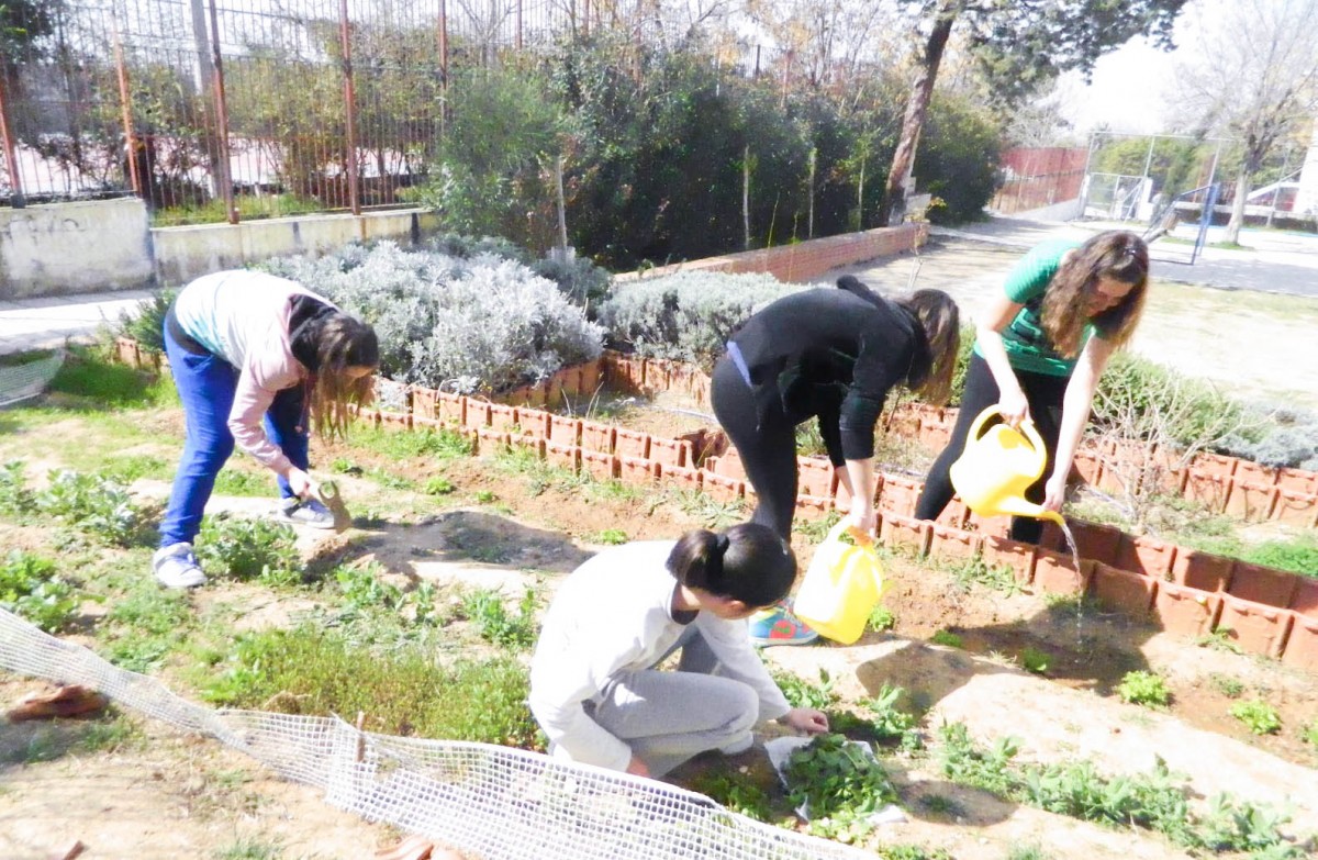 Ξεκινά ο δημοτικός λαχανόκηπος στο Δοκίμιο Αγρινίου 21 3 2012 138 E1362990637247
