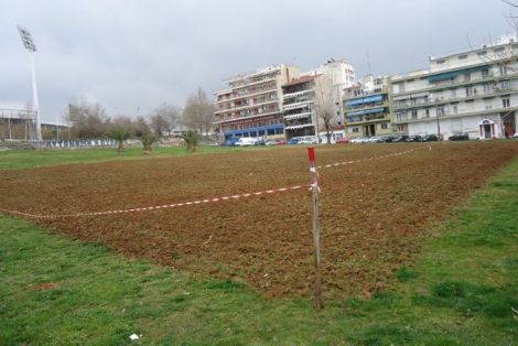 Ο πρώτος ελληνικός αστικός αμπελώνας δημιουργείται στη Θεσσαλονίκη Pic 0 Norm